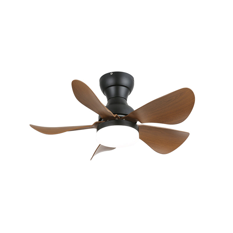 Arilia Small Blade Ceiling Fan Light | Korewolamp