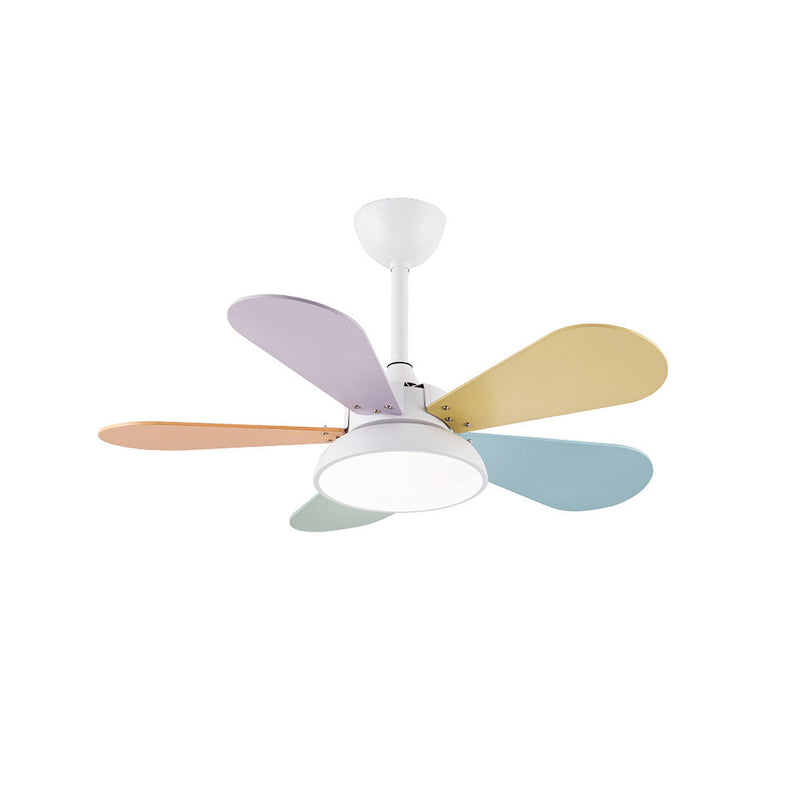 Macaron Colorful Round Ceiling Fan Light | Korewolamp