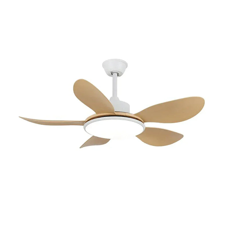 Minimalist Brinley Ceiling Fan Lights | Korewolamp