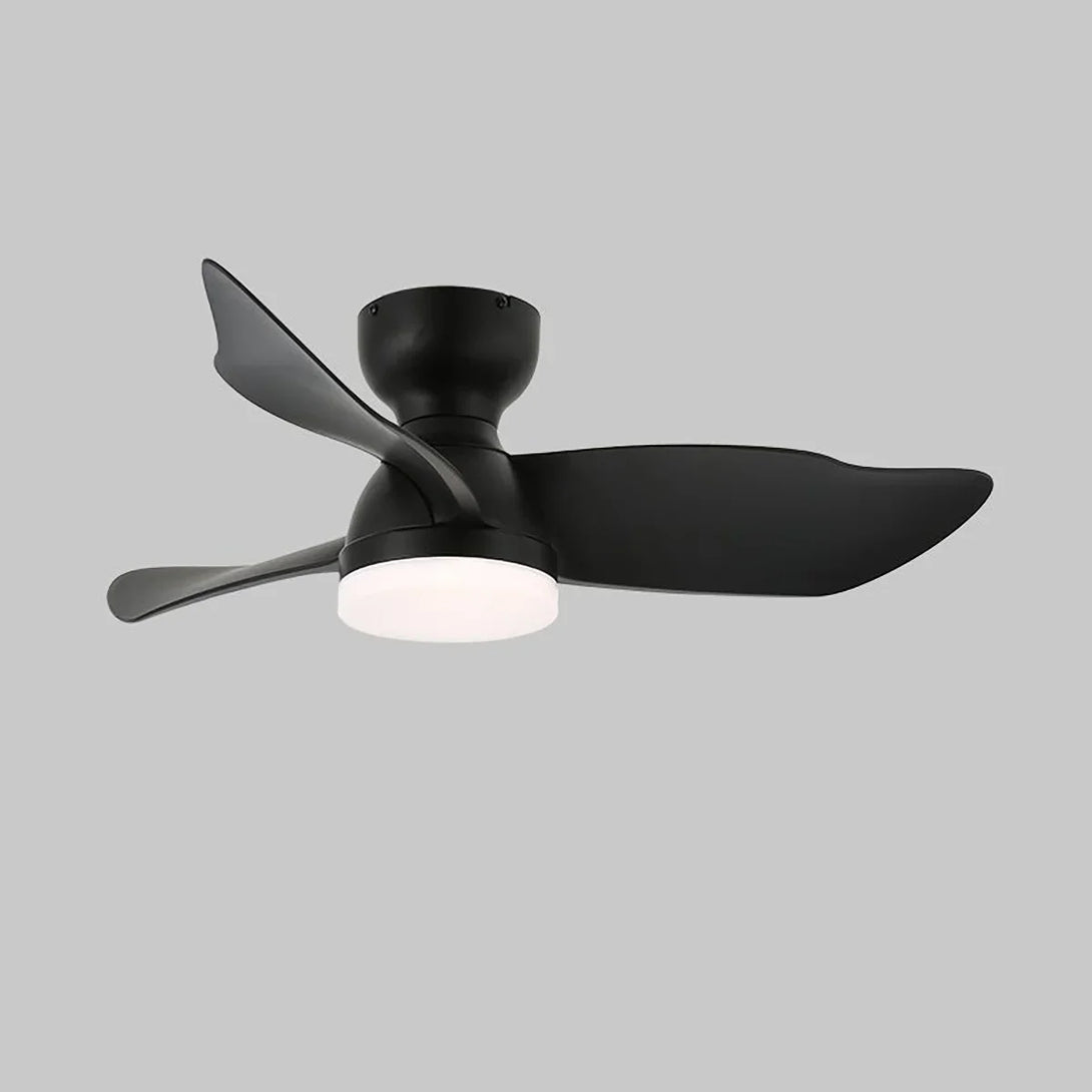 Minimalist Calix 3 Blade Ceiling Fan Light | korewo Lamp – korewolamp