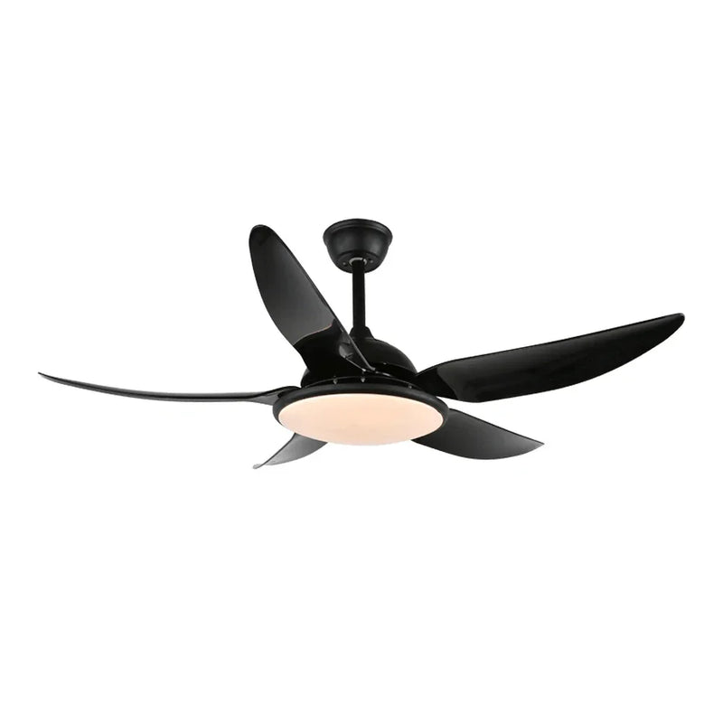 Modern Curved Blade Ceiling Fan Light | Korewolamp