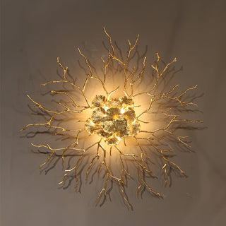 Coral Zoa Eye Wall Lamp